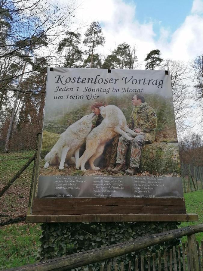 Ferienwohnung Am Wolfsweg Merzig Exteriör bild