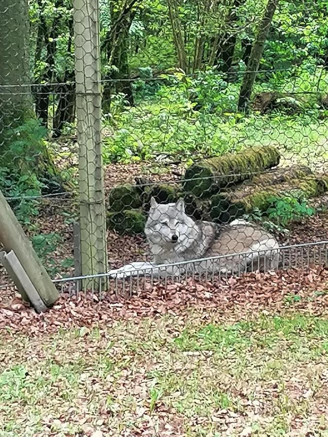Ferienwohnung Am Wolfsweg Merzig Exteriör bild